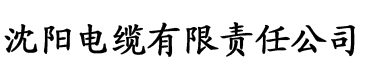 双面人夫电缆厂logo